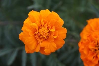 Прикрепленное изображение: 1.jpg